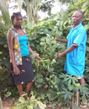 Activité du Centre pour la promotion agricole de la Lukula, R.D. Congo